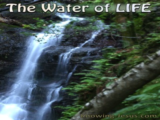 The Water Of Life (devotional) (blue)